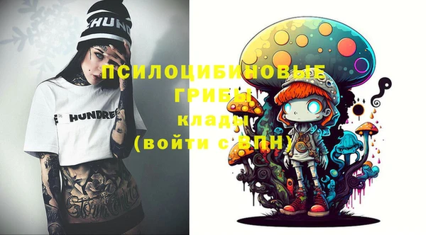 стаф Волоколамск